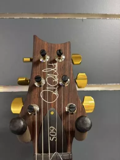 PRS 509 PURPLE IRIS W/CS 2